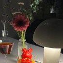 [강남•청담] 피플 더 테라스 | 청담 레스토랑
