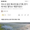 여수서 집단 폐사한 물고기떼, 변기에 버린 ‘물티슈’ 때문이었다 이미지