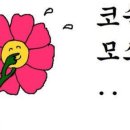 플라워위드