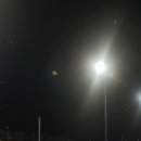 서해쭈꾸미(용문점) 이미지