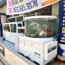 좌동재래시장 | 좌동재래시장 횟집 봄봄횟집 실제후기