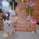 이쁘개(내포신도시점) 이미지