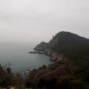 태산목장 Daum카페