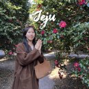 동백 | 제주도 동백꽃 실시간 개화, 명소 동백포레스트 후기