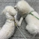 꿈의숲약국 이미지