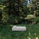 시각공간-위상 이미지