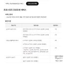 스카이플래티늄항공