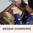 감염병으로부터 우리 아이 건강하게 키우기 | 드림버섯농장 버섯키우기키트 아이랑 표고버섯재배하기