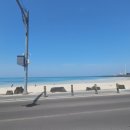 월정포인트 이미지