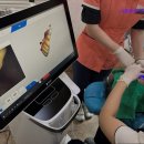 서울튼튼이치과의원 이미지