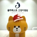 율하베스트동물메디컬센터