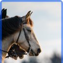 진하우리약국 이미지