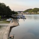 오십천마리나 이미지