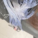 푸른미용실 | 안양메가트리아미용실 이지미헤어 블루블랙 전체염색 레이어드컷 후기
