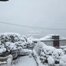 더라인공인중개사사무소 이미지