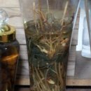 지인농원 이미지