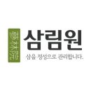 건강한 새싹 이미지