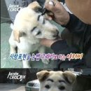 월 이미지