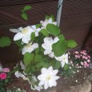 은지가든 이미지