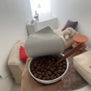 비에이치씨제주저지점