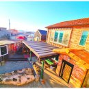 아름다운 애견 | 여수독채펜션 아름다운동행펜션 여수애견독채펜션 감성 숙소 후기