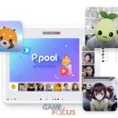 피풀