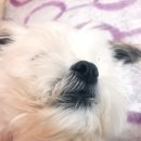 개편한세상 이미지