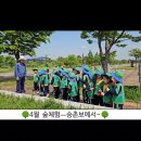 [4월 숲체험]🌳승촌보의 봄 이미지