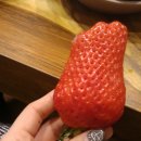 한우정원 이미지
