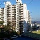 완월동116 이미지