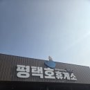 김밥천국 평택청북점 | 익산평택고속도로 평택호 휴게소 푸드코트 펫파크 애견동반 네이버 리뷰 이벤트 방문 후기