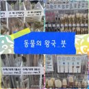 [25-3] 힐링꽃그림 (보태니컬 수채화) | 25&#39;5월 _홀로 또는 함께 하는 그림