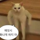 하나환경개발