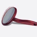 로열 퍼피샵 이미지