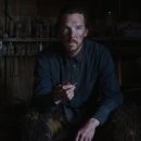 도그스토리 이미지