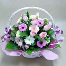 수원-0780 Daum카페