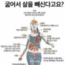 해피타운점핑클럽