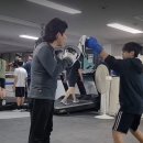 팀건복싱 이미지