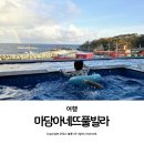 포항 펜션 이쁜곳 구룡포 마담아네뜨풀빌라 가족 숙소 추천