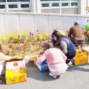 연초면사무소 이미지