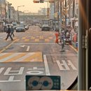 태릉프라자약국 네이버블로그