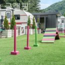 동반84 글램핑 이미지