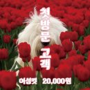 1080헤어샵 - 관악구 남부순환로231길 9 | 1080헤어샵