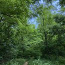 손동현내과의원 이미지