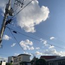 가우농장 이미지