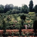 빛을 그리는 화가, 클로드모네 이미지