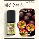 베이핑포레스트 네이버블로그