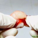 망고젤리 | 편의점신상 코코망고알맹이 &amp; 알맹이젤리 종류 후기