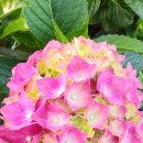 준이농장 이미지