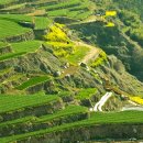 남해-316 이미지